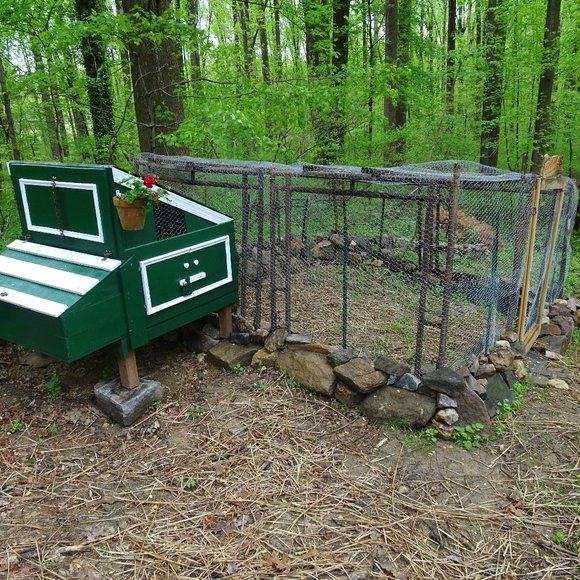 Greg - Picture 2 of 4